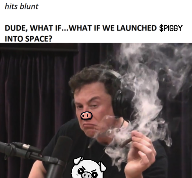 piggedbypiggy's tweet photo. DUDE, WHAT IF.. WHAT IF WE LAUNCHED $PIGGY INTO SPACE? 🐷 https://t.co/BVd1ifl5yq