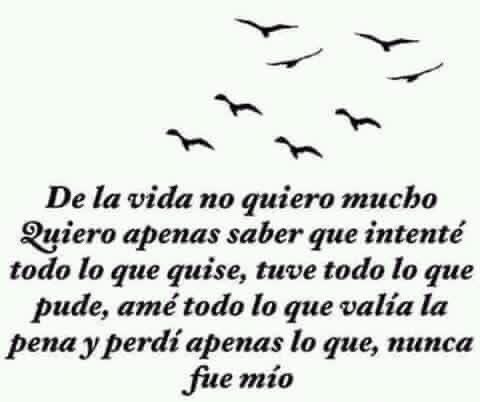 armandiux2012's tweet image. 