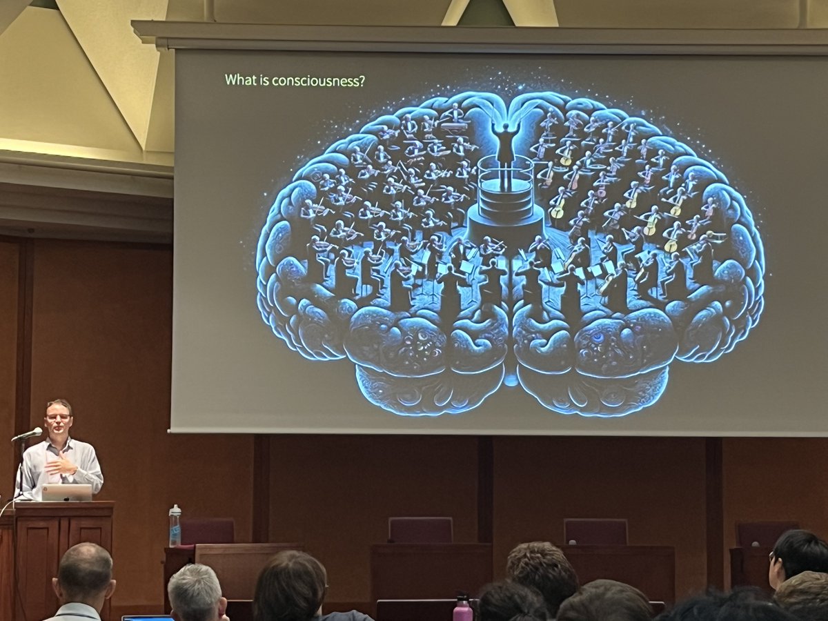 Yusuke Hayashi 林祐輔 tweet media