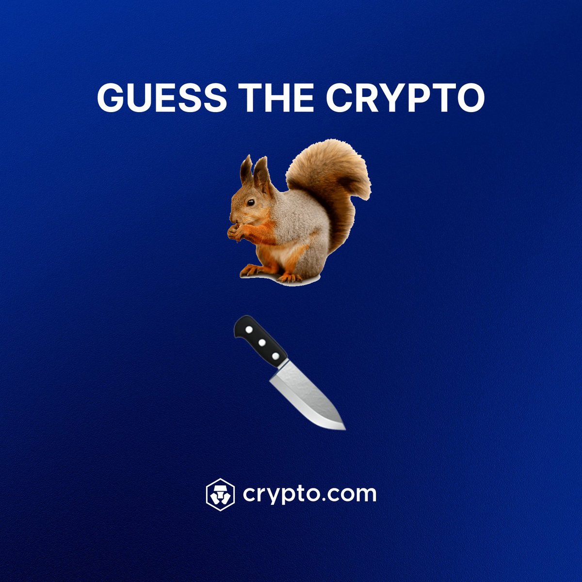 squirrel with knife tweet media