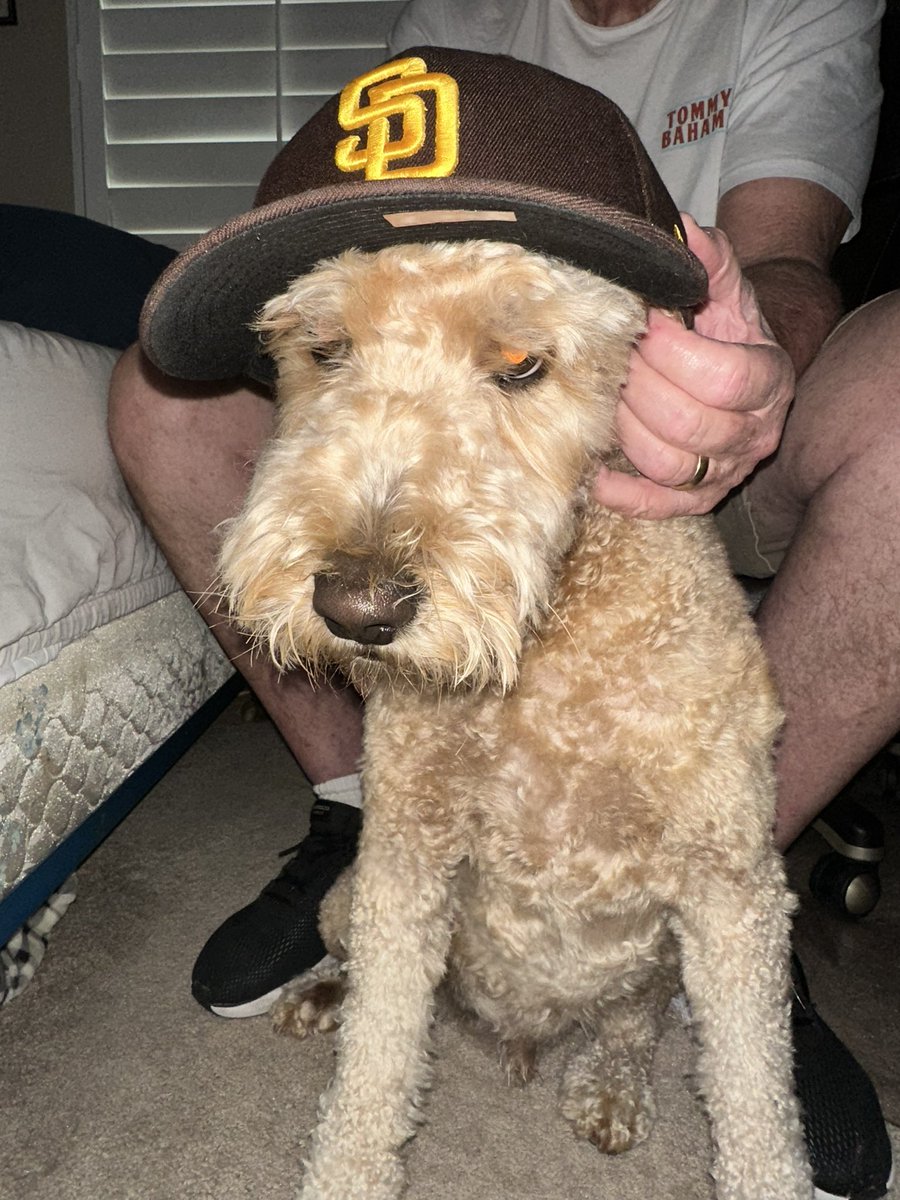 #padrespets