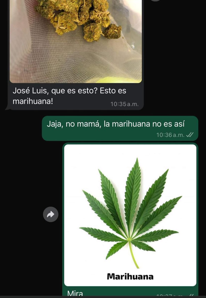 la marihuana no es así ma