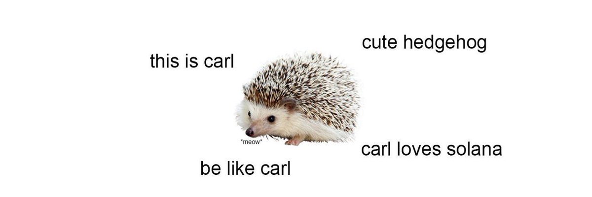 CarlCommunity's tweet image. $CARL

CA: CARL1SLwhaK4eaF633jgEgYgJ7UDJmTa9XGHfMgPud5e

Chart: dexscreener.com/solana/7m7dgnr…

Tg : t.me/Carlthehedgehog