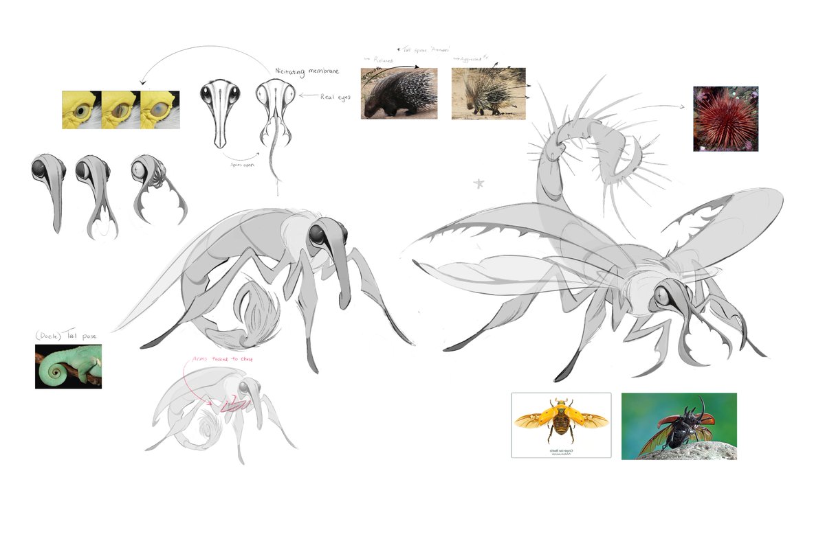 ARealTrashAct's tweet image. When I was initially approached to work on WondLa, I was told that I would be helping to design a vast array of characters - the majority of which would not be human.
So basically it was a dream come true. 🐾🦷🦎🐠