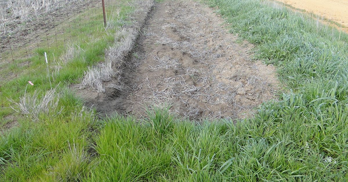 New fenceline registered products, Alion and Terrain Flow, can be used to control fenceline weeds thanks to their diverse MOA's ♻️ so it's essential growers adopt the mix and rotate tactic to preserve them ❗ 

Read the full article on fenceline weeds ➡️  buff.ly/3RQQIqX