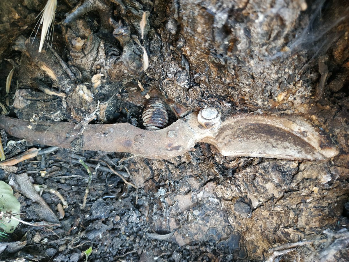 TalhaBalc12's tweet photo. Bu tivit yaralara tuz bastı, ciğerleri dağladı. Birkaç yıl evvel rastladığımız ve her seferinde bizi derin üzüntülere gark eden bir olay anlatacağım. https://t.co/hLuVcw3a1e