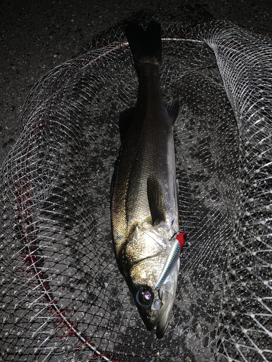夜は💫ゴム着けませんよ😄🎣
(ゴムなし)🤣笑
