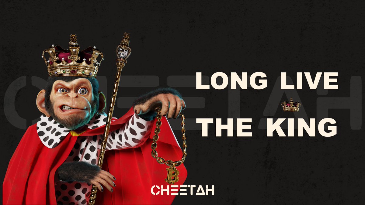 Long live the king 👑 #Cheetah
