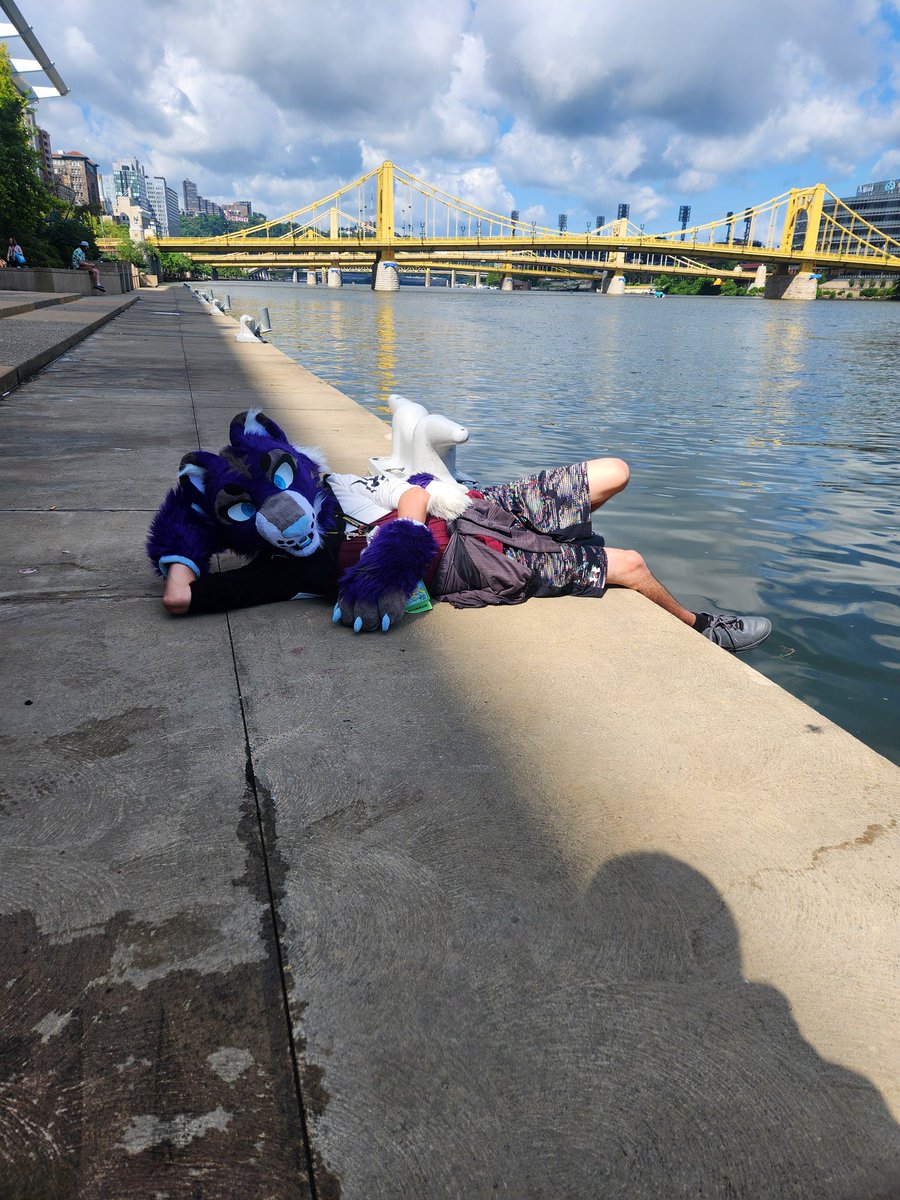 RonynWolf17's tweet photo. I had a blast at Anthrocon with @FolfKade, @Thatassassing, and @GravelyBonez. It was a blast, and can't  to wait to come back to the next anthrocon. https://t.co/HycrUe6r7L