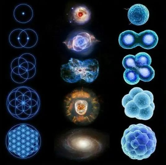 RincnCuriosoo's tweet photo. Todo está conectado 

Representación de la Geometría, física y biólogia. https://t.co/dxSqhGLIXS
