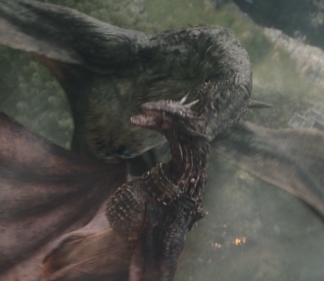 porktendencia's tweet image. “Vhagar”:
Porque ya hace falta que Vermithor salga a darle un estate quieto.