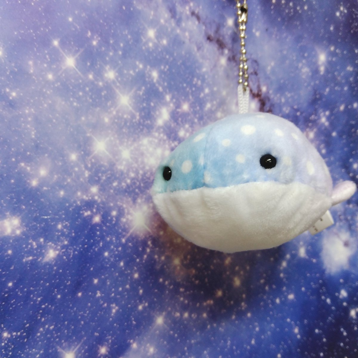 💎🐳好評発売中🐳💎 #ウルトラニュープランニング 幸せのジンベエザメ