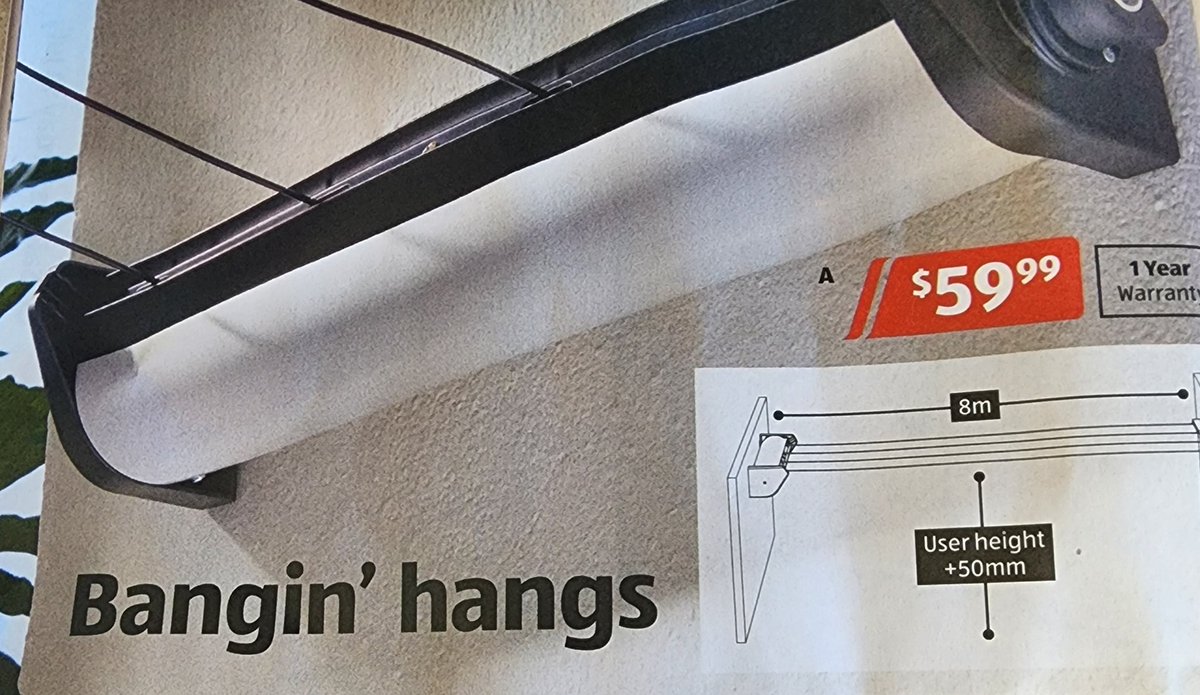 Jen Carnovale tweet media