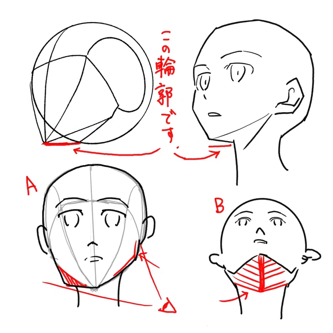 第一回の対談の最後に、畑先生にアゴの下の輪郭は、奥側のエラの部分(A)か顎の下面(B)かどちらですかと聞いたんですが、これは美術作品だとどちらの表現もあります。 