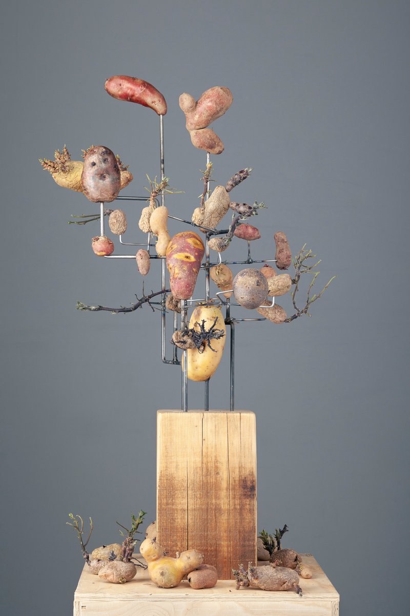 KUNSTHAUS ZOFINGEN: ROSHAN ADHIHETTY

Mehr: ch-cultura.ch/de/archiv/muse…
Bild: Roshan Adhihetty, Skulptur Ike-Papa, 2022, Diverse Kartoffeln, Stahl, Holz, 100x20x40cm
#RoshanAdhihetty #SommerfensterausstellungZofingen #KunsthausZofingen #JKON #JungeKunstOlten #CHcultura <a href="/CHculturaCH/">Daniel Leutenegger</a>