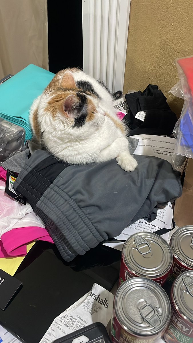 Freya says Queens don’t prep get on it peasant #amazonkitty