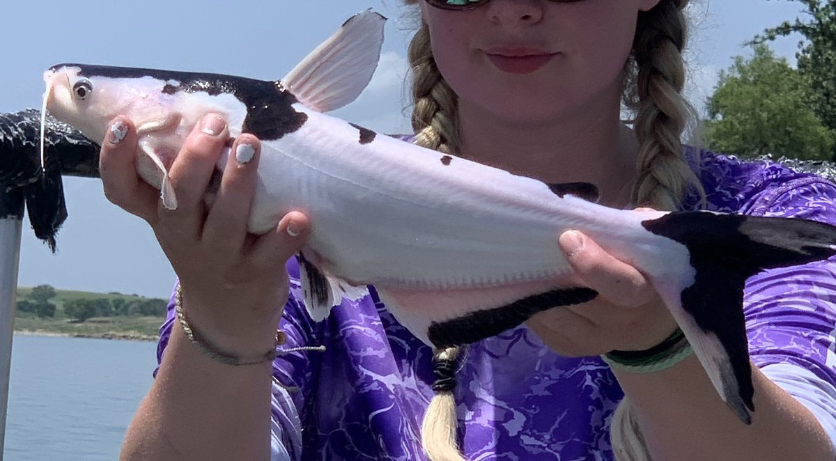 Brett Miller tweet media