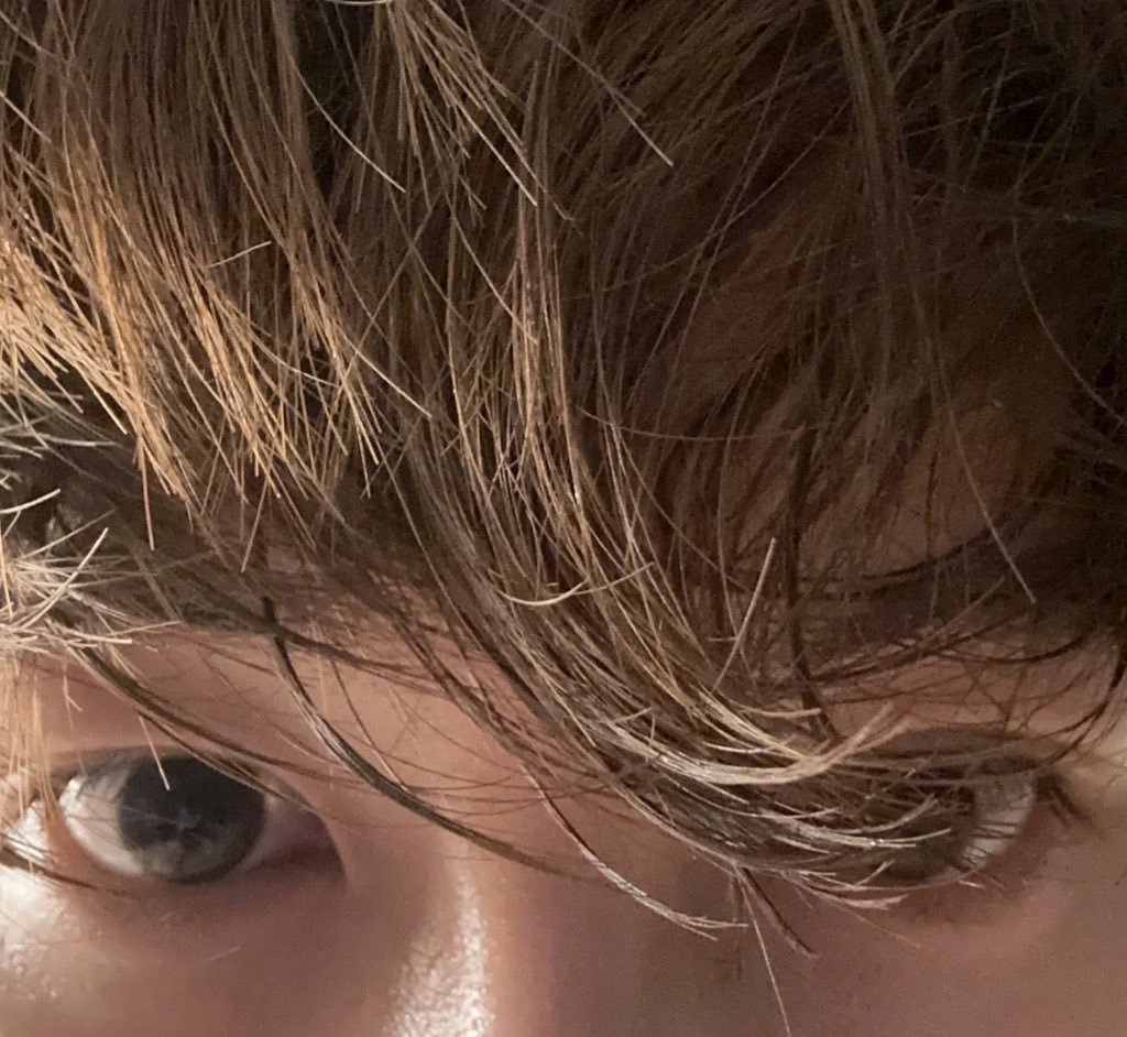 집사 폰 가지고 놀다가 사진 찍힌 야웅쥔