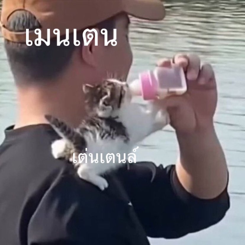 น้องเวียรักเคะ tweet media