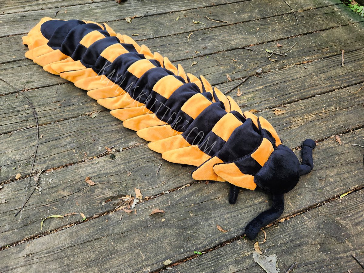 kaylaskritterz tweet media