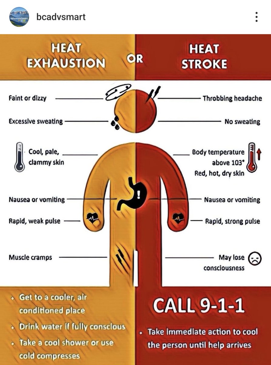 SocMedGirlyyj's tweet photo. A helpful reference to keep handy this week, on some differences between #HeatExhaustion and #HeatStroke.
From @BCAdvSmart on Instagram. (IG: @bcadvsmart)
#BCHeatWave https://t.co/zj1q3o7QQI