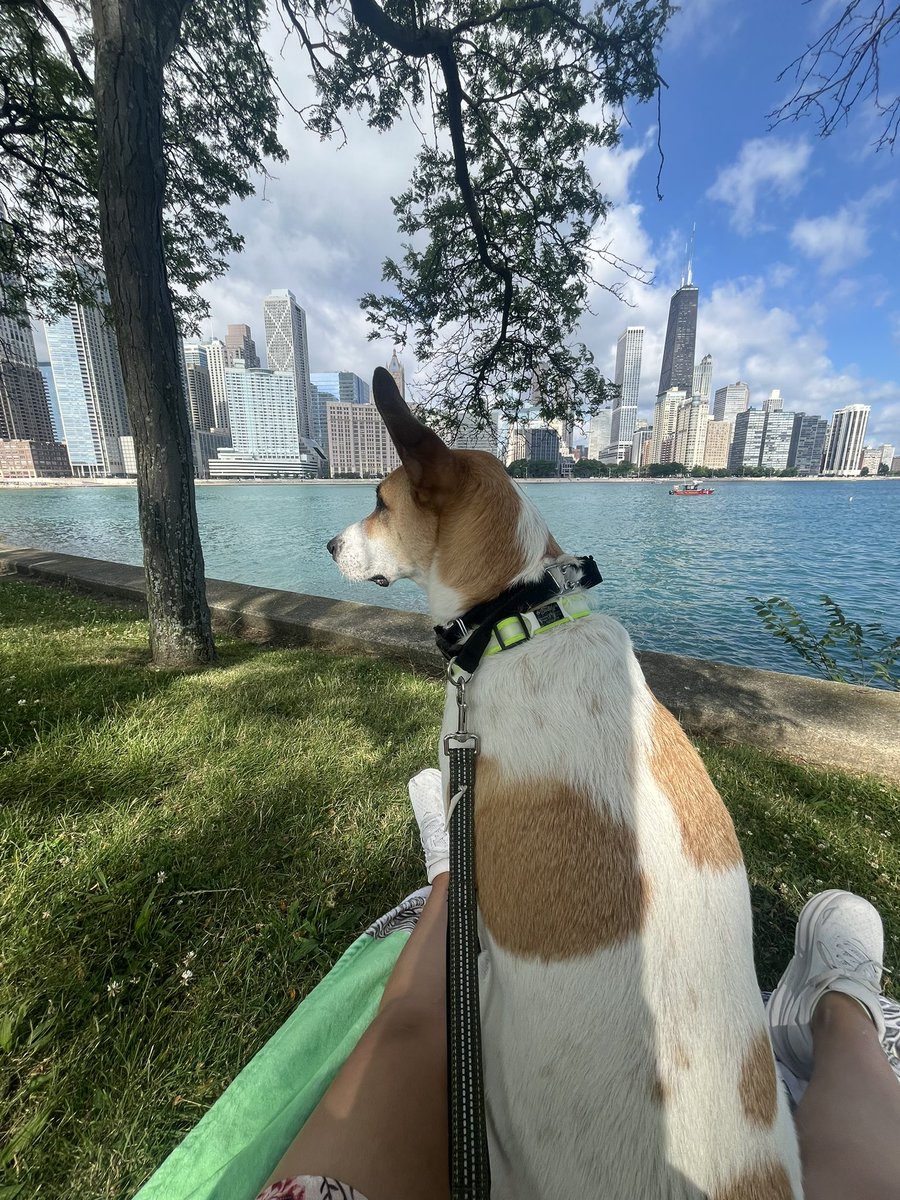 First week in Chicago was a blast!! Now tomorrow, the real fun begins 😁 so excited to start #pedsneph fellowship @lurie_nu !!!