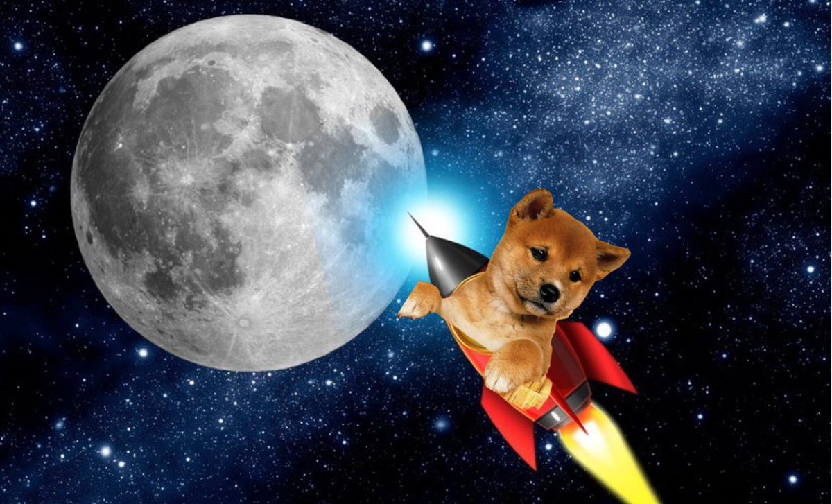 Hachiko tweet media