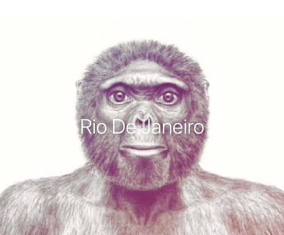 whoissweek's tweet image. sacom