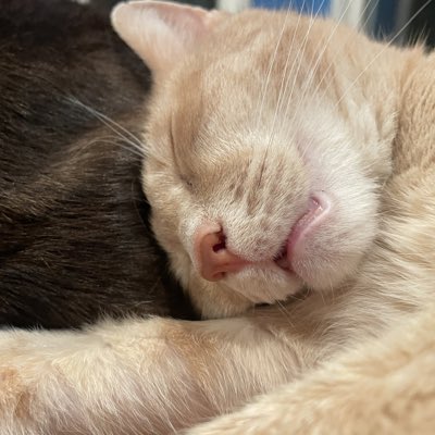 debrav's tweet photo. #NewProfilePic https://t.co/tewfun1YCH