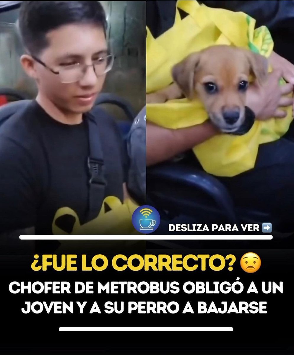 legonzalezj's tweet photo. Fuera de orden sin embargo estos #Metrobuses están llenos de alimañas cucarachas hasta ratones . https://t.co/vuU9ZlM0Xn