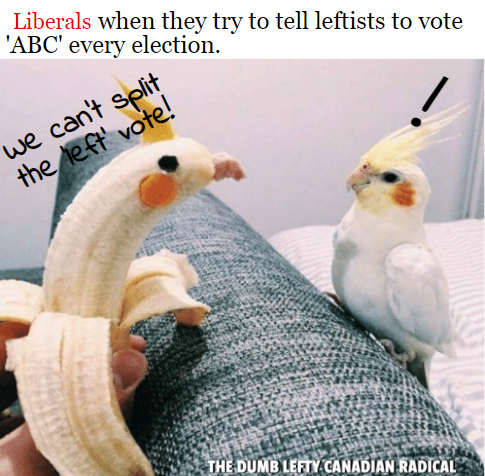 savoirfaire_2's tweet photo. @trapdinawrpool yep. F. that!
I SAY WE VOTE for the policies (party) we WANT in 2025. #ProgressiveLeft = ABC+L
It will be 100% on the LibCon vote flippers when THEY elect the Cons, as it has always has been.
LPC will lose either way, so we MUST get as many L-W MP's in those seats as possible. https://t.co/IkueM94nVD