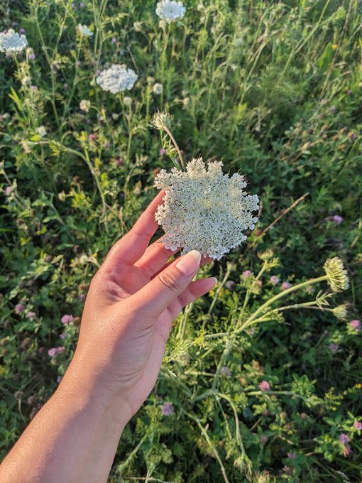 The wildflower trail is in bloom. It smells and feels like heaven here. https://t.co/wGBUzOlr1T<a href="/tag/musclewomen"class="tags"><span>#musclewomen</span></a><a href="/tag/musclemommy"class="tags"><span>#musclemommy</span></a>