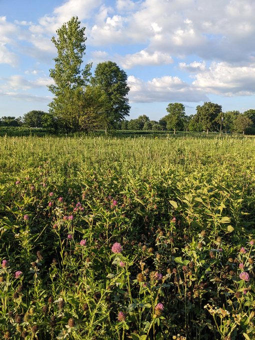 The wildflower trail is in bloom. It smells and feels like heaven here. https://t.co/wGBUzOlr1T<a href="/tag/musclewomen"class="tags"><span>#musclewomen</span></a><a href="/tag/musclemommy"class="tags"><span>#musclemommy</span></a>