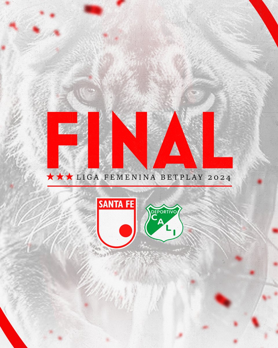 LeonasSantaFe's tweet photo. ¡Y aquí vamos 🙌! 

Un honor para nosotras disputar una final más luciendo con orgullo este hermoso escudo en el pecho.

¡Qué ilusión 🥹!

#VamosSantaFe 🇮🇩 https://t.co/HhWpuXTH5J