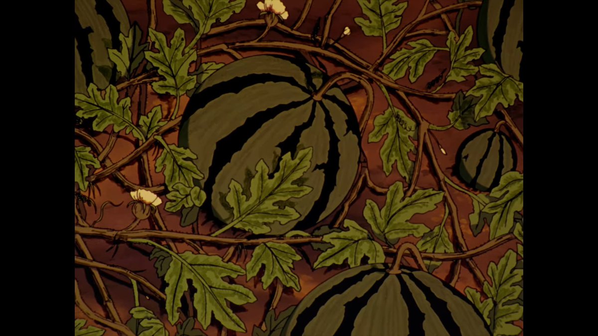 Jim Maxwell tweet media