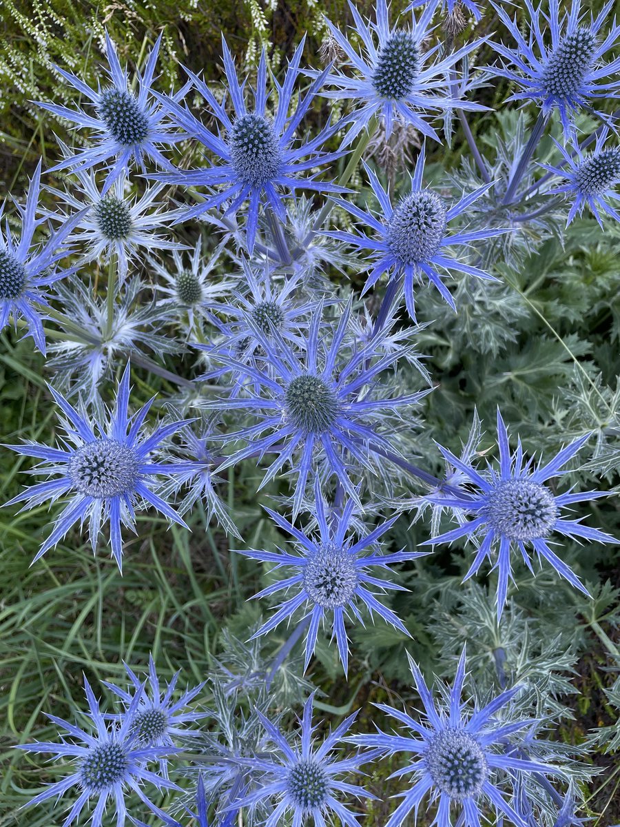 "It is of the greatest importance when listening to dreams to stay away from snap interpretations ('I've got it!') and to listen to the dream with a willingness to bear the brunt of its utter incomprehensibility" - Robert Bosnak, A Little Course in Dreams (1988), 28