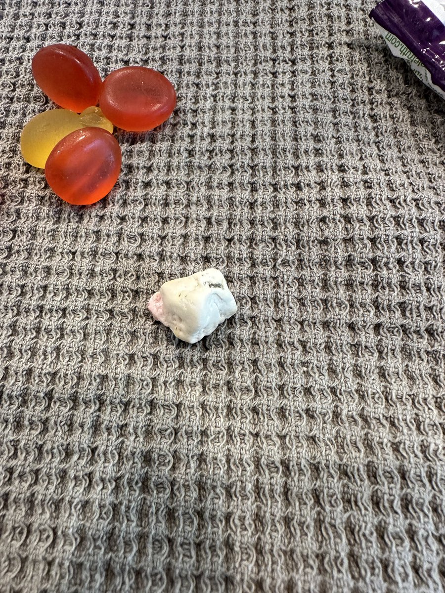 Kaylee Simmons tweet media