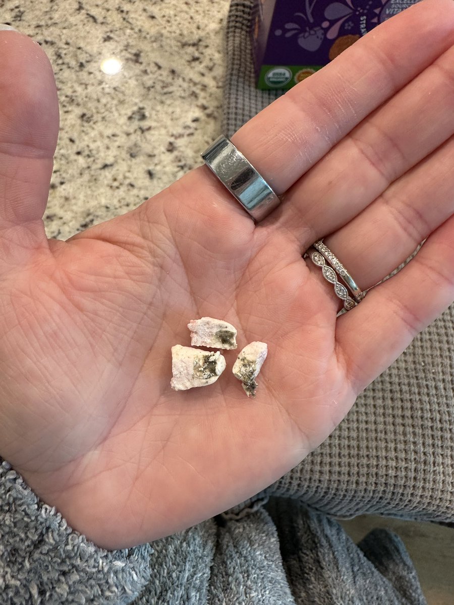 Kaylee Simmons tweet media