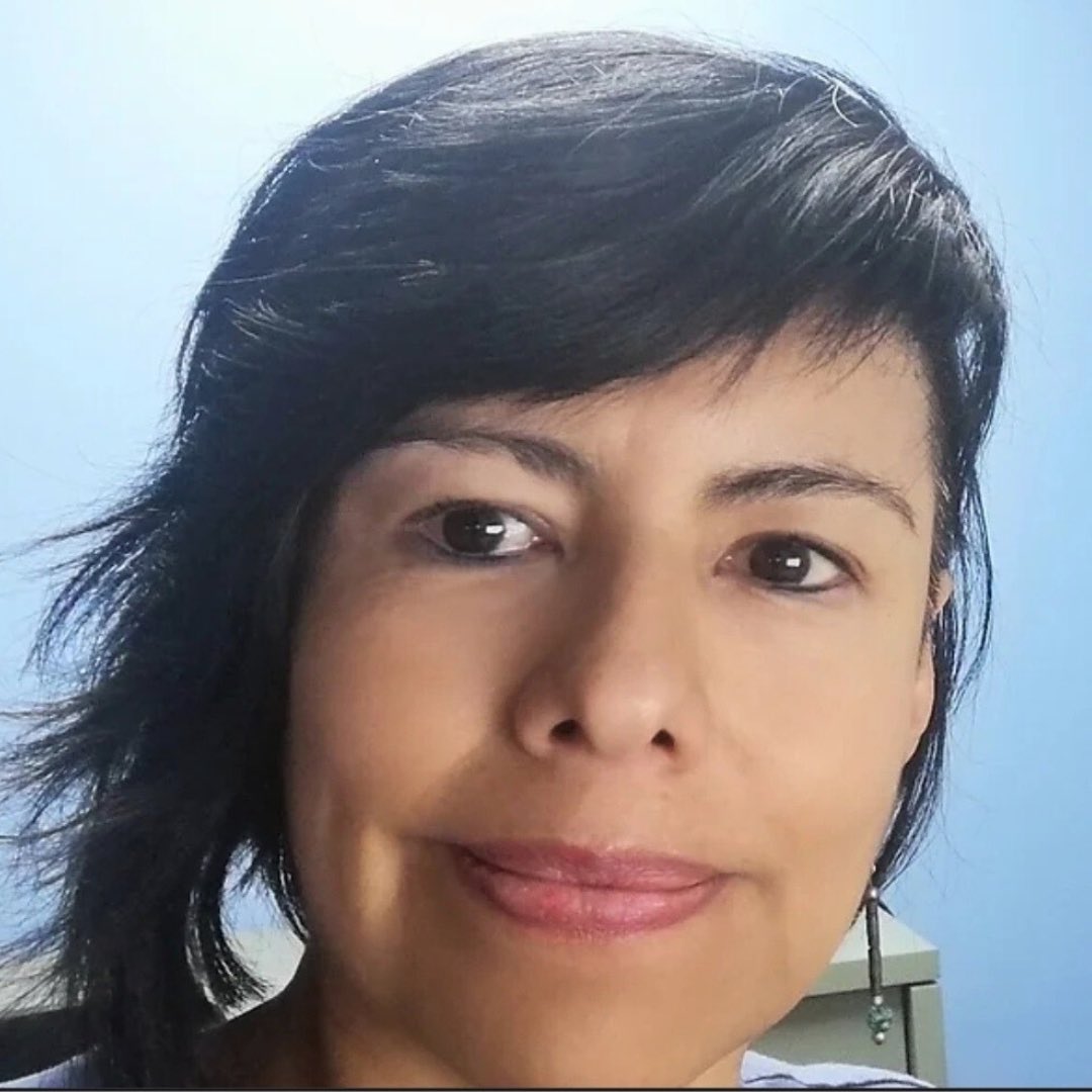 Museo de los Museos tweet media