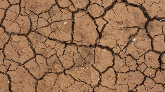 bnews_oficial's tweet photo. BNews Agro: Estado do MATOPIBA decreta situação de emergência por causa da seca #bnewsagro #matopiba #seca #bnews
Leia mais: https://t.co/YJA8igfUJJ https://t.co/SK0rKbPrVW