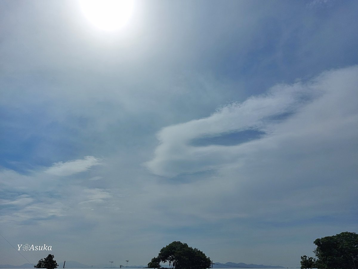 yumeasutw's tweet photo. #薄雲 が広がる白っぽい空にお日様は朧気な月曜日の朝🌤️
#熱帯夜 明けでとても蒸し暑いです♨
予想最高/最低気温🌡️36℃/26℃
晴れ時々曇り☀️/☁️
お洗濯日和👕👖厳しい暑さに😵💦午後は俄か雨に御用心⛈️
#イマソラ
#空の名前
#天気の図鑑 #雲の超図鑑
#巻層雲 #巻雲
#a2024 #a0708 #a202407 https://t.co/fjDYnd8iFf