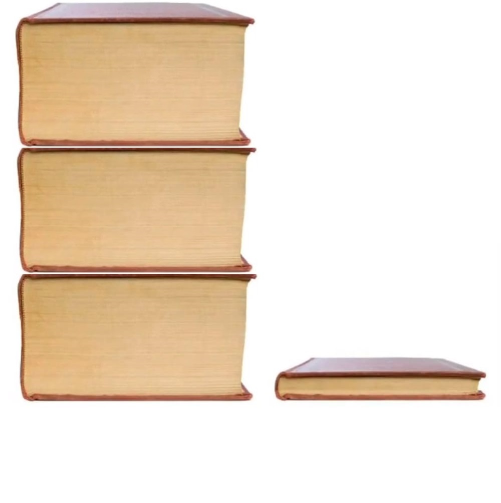 o que eu penso   ////   o que eu falo