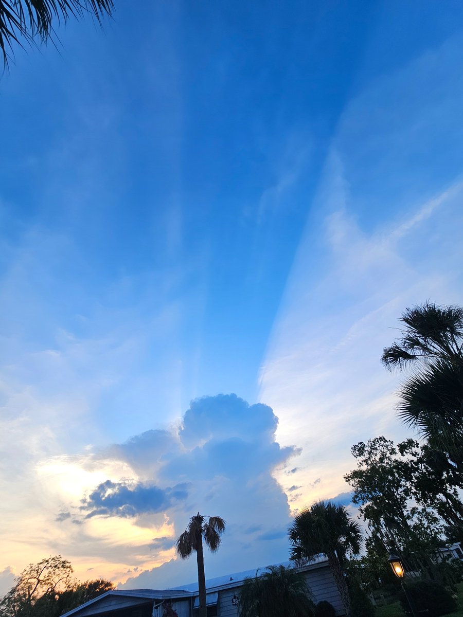 BrendaFaye tweet media