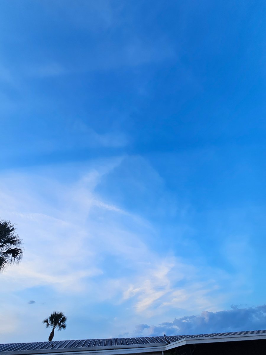 BrendaFaye tweet media