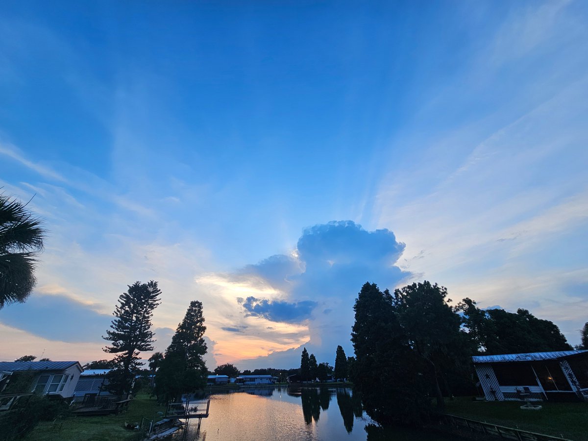 BrendaFaye tweet media