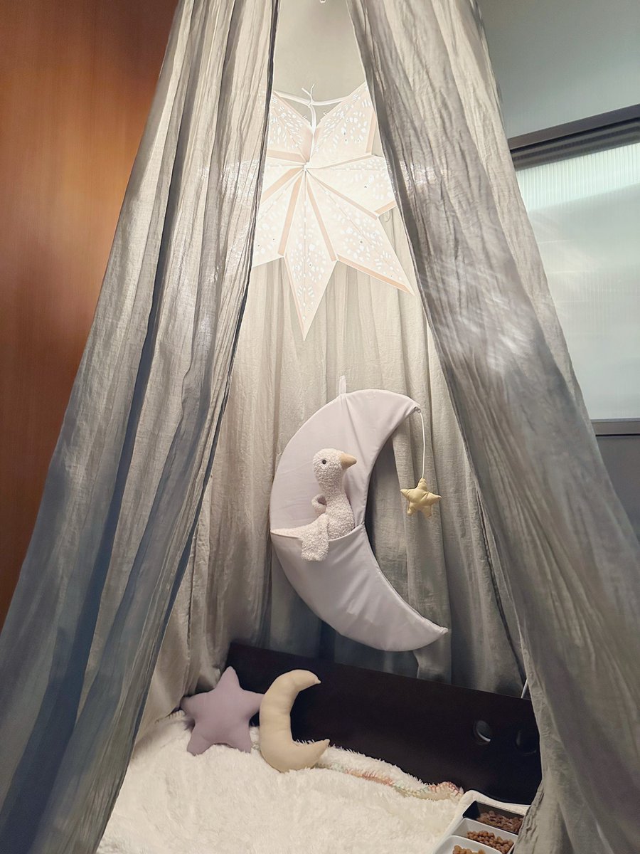 y5_y5_san's tweet photo. 菊ちゃんは誕生日プレゼントにおやつも貰っても喜ばないのでキャノピーをプレゼント🎁大好きなガチョウさんぬいぐるみもお月様の収納に入れてあるからね☺️もちろん中にはカリカリバイキングも!個室気に入ってくれるかな?
#numero74 #キャノピー #猫部屋
#誕生日 #高齢猫 https://t.co/qBnax2FXg3