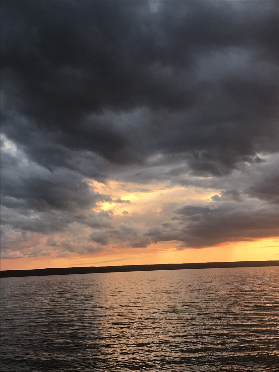 Matt Gray-Service Forward tweet media