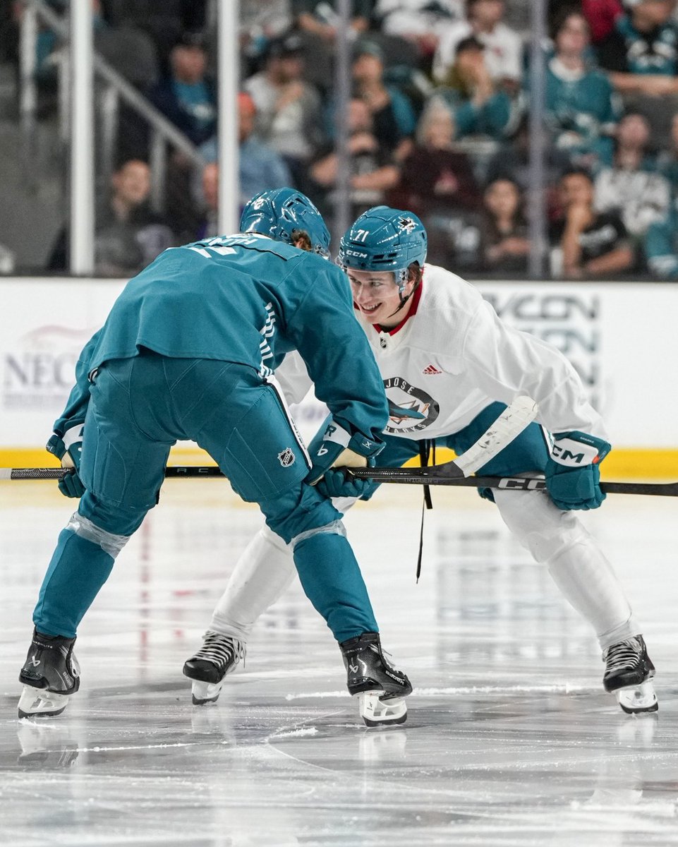 NHL's tweet photo. These two are going to be so fun to watch this upcoming season. 🤩
Cc: Macklin Celebrini & Will Smith
(📸: @SanJoseSharks) https://t.co/IpOte7i1h1