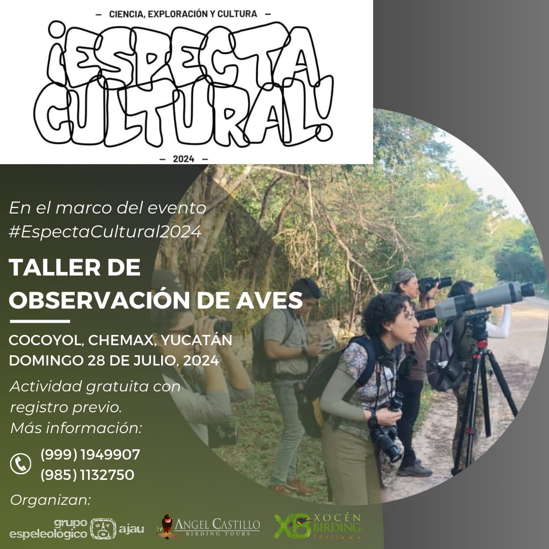 fatimatecpool's tweet photo. Seguimos con los preparativos para las actividades del fin de mes con @AnferCC
#ComplejoSantaRita #CuevasMayas #Pajereada #EspectaCultural2024 #MonteMaya https://t.co/dzqVVa7W3L