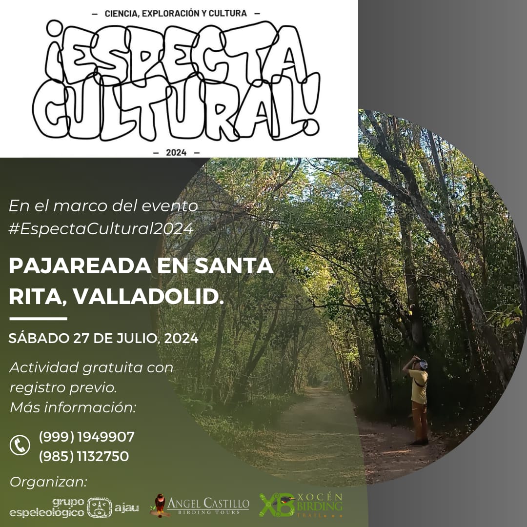 fatimatecpool's tweet photo. Seguimos con los preparativos para las actividades del fin de mes con @AnferCC
#ComplejoSantaRita #CuevasMayas #Pajereada #EspectaCultural2024 #MonteMaya https://t.co/dzqVVa7W3L